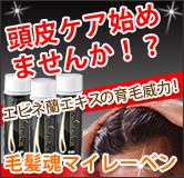 ���ӥͥ�󥨥����۹�����Ѱ��Ӻ���ȱ���ޥ��졼�٥�