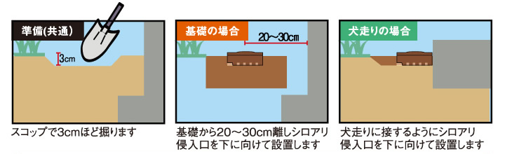 ãã°ã®å®ã®ä¸ãããã