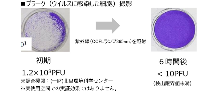 ウイルスを99.9%分解