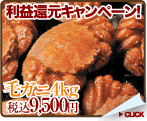 �ӥ�������