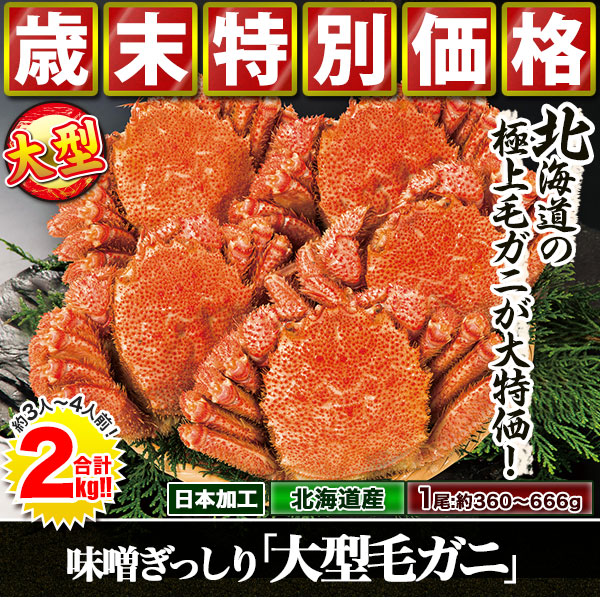 味噌ぎっしり「大型　毛ガニ」２ｋｇ（１＋１ｋｇ）