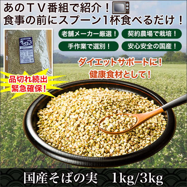 å½ç£ãã°ã®å® ï¼ï½ï½ï¼ï¼ï½ï½