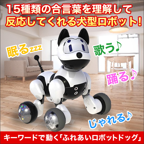 ã­ã¼ã¯ã¼ãã§åãããµãããã­ãããããã°ã