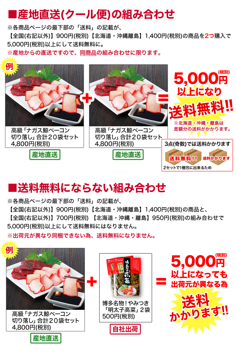 キャンペーン説明3