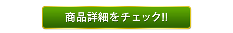 爽快冷風扇　詳細ボタンはこちら