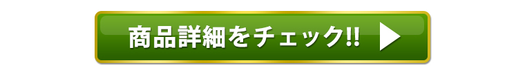 大ヒットドラレコはこちら