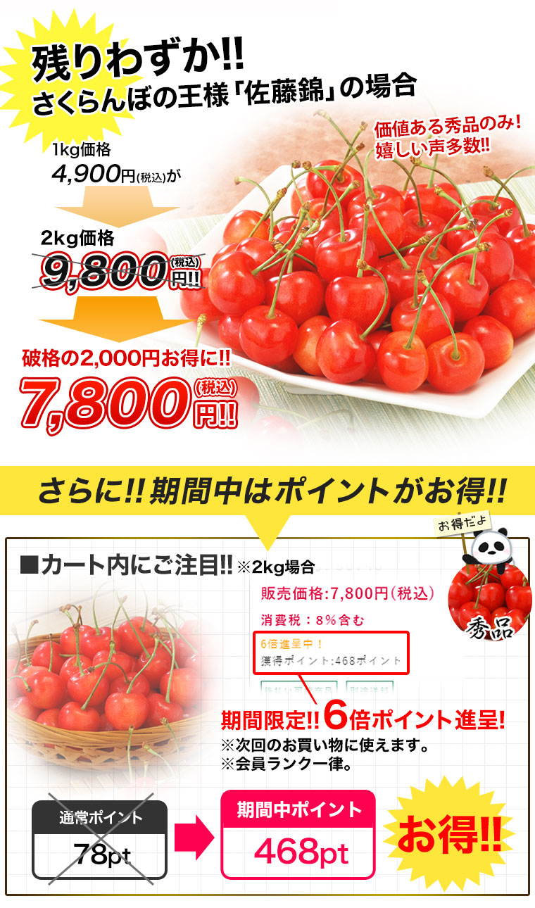 トップ画像