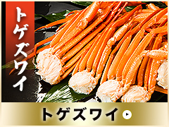 トゲズワイ