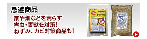 nebiki