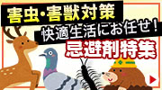 忌避特集