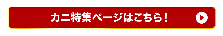 特集トップ