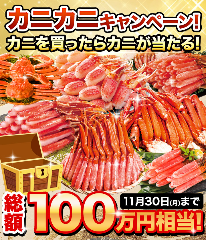 特集トップ