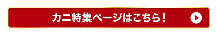 特集トップ