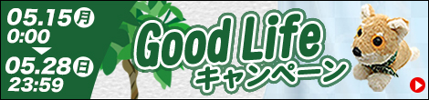 åɥ饤