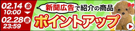 shinbun