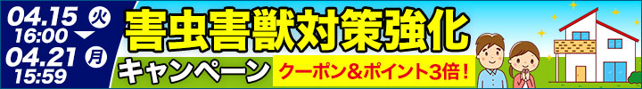 週末キャンペーン