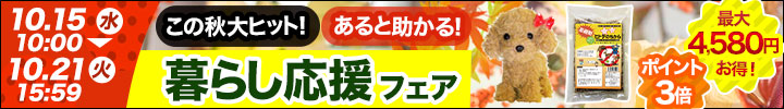 キャンペーン