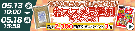 キャンペーン