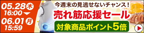 ポイント5倍