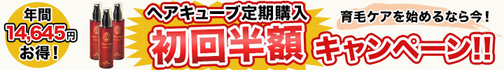 初回半額キャンペーン