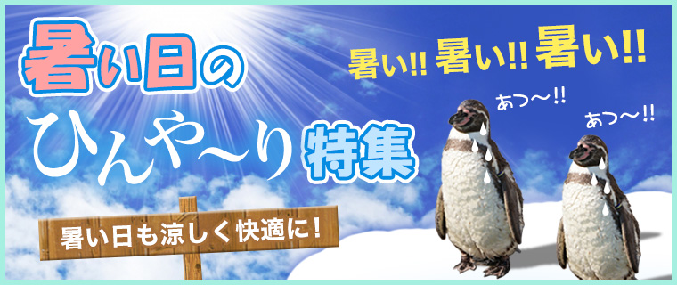 ひんやり特集