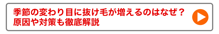 コラム