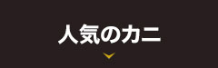 人気のカニ