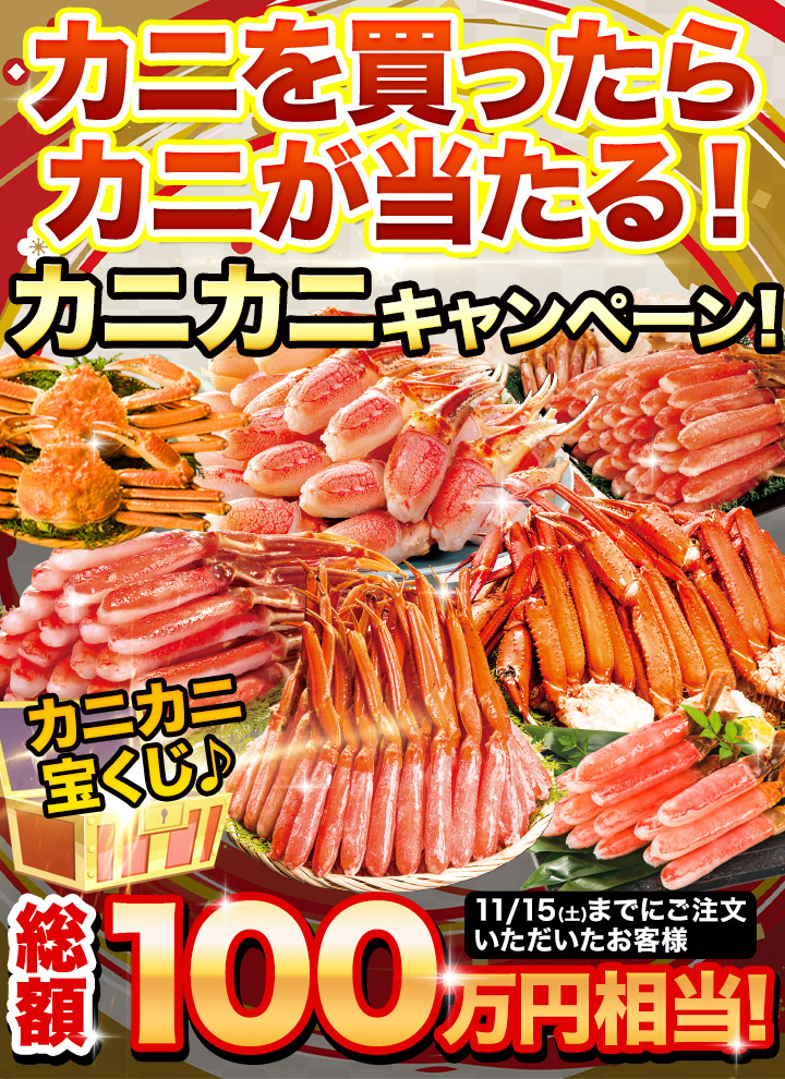 特集トップ