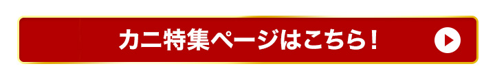 特集トップ