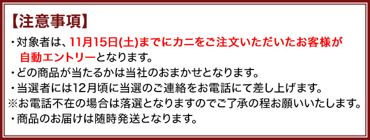 特集トップ
