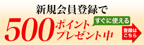 今すぐ使える！ 500 ポイントプレゼント 詳細はこちら