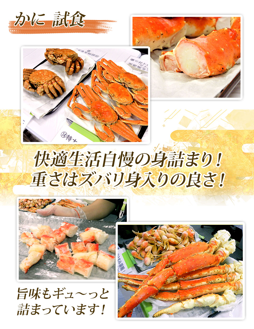 カニ試食会