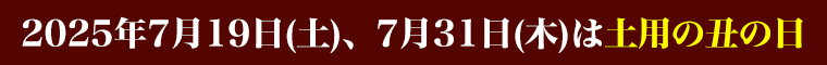 缶詰カテゴリ