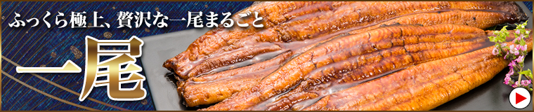 一尾