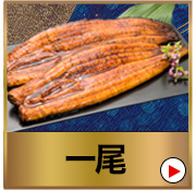 一尾