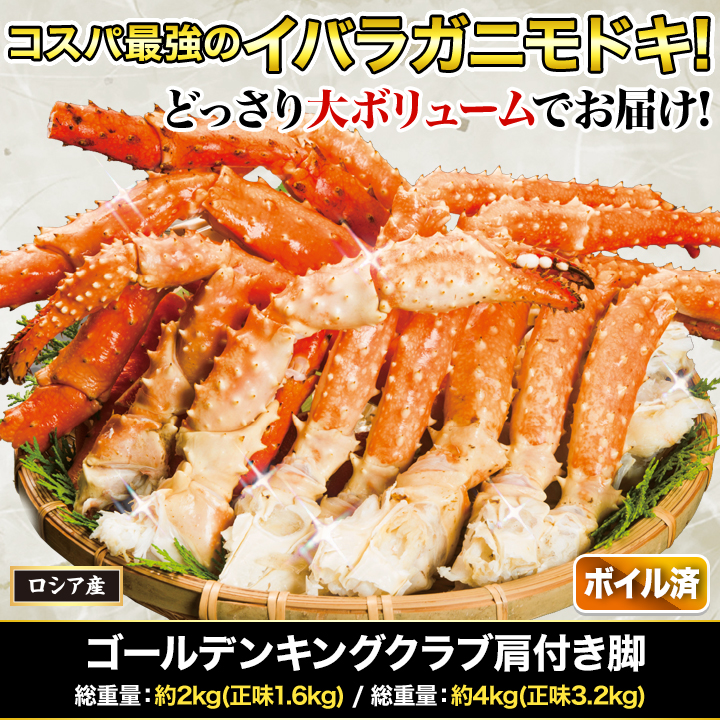 ゴールデンキングクラブ肩付き脚(ボイルイバラガニモドキ)