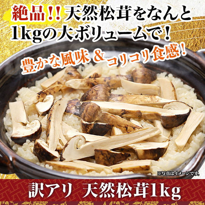 天然松茸 （国産天然松茸】50g前後(40~70g) 山形産 秋はきのこ