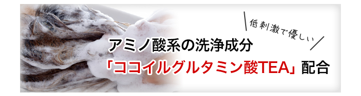 コラーゲン シャンプー 育毛 コラーゲン シャンプー 育毛