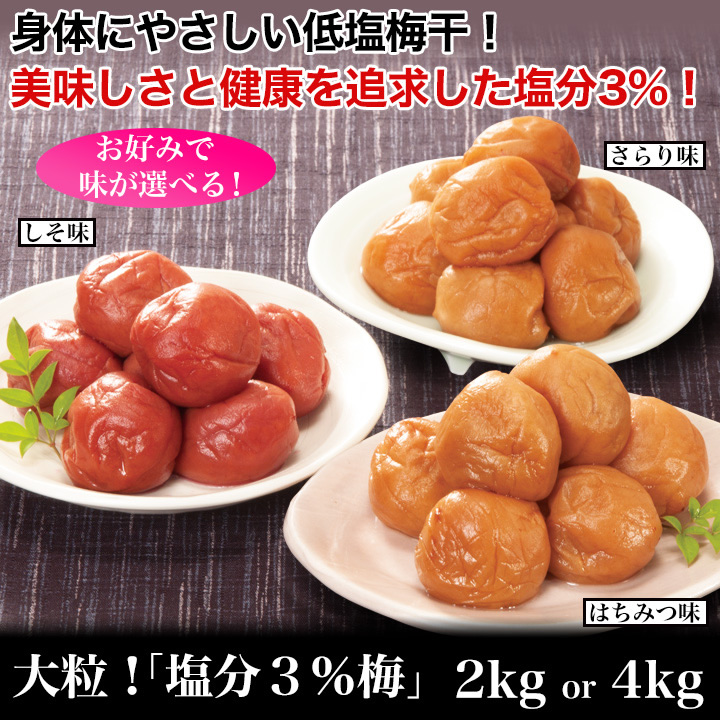 大粒梅干し 梅専門メーカーの老舗が徹底管理 塩分3 の低塩梅干でも味は極上 快適生活 快適生活