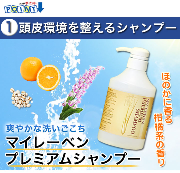 薬用育毛剤 毛髪魂マイレーベン 3本セット マイレーベンシャンプー 快適生活 ライフサポート 薬用育毛剤 毛髪魂マイレーベン 3本セット マイレーベンシャンプー 快適生活 ライフサポート