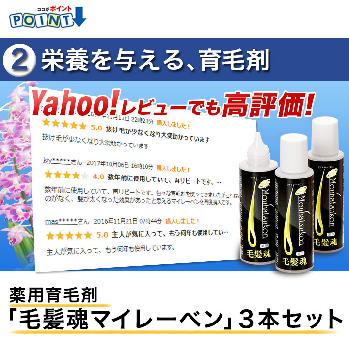 安い購入 快適生活 薬用育毛剤 毛髪魂 マイレーベン 橘香 100ml 2個