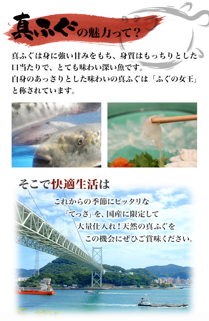 高級食材 国産真ふぐのてっさ１０皿 ２０ ２皿生き締めで鮮度抜群 大ボリュームセット 快適生活 快適生活