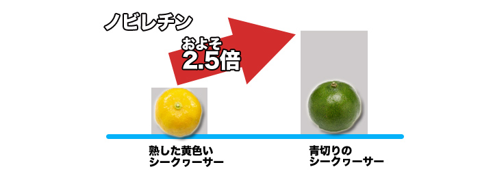 Tvで話題沸騰 １００ 沖縄県産 青切りシークヮーサージュース 美容や健康に １ ３ ６本 快適生活 ライフサポート