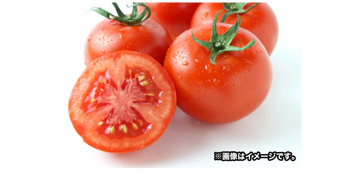 元気の源 カゴメトマトパウダー使用 トマトリコピンパウダー 2箱 4箱 トマト嫌いでもごくごく飲める 快適生活 ライフサポート 元気の源 カゴメトマトパウダー使用 トマトリコピンパウダー 2箱 4箱 トマト嫌いでもごくごく飲める 快適生活 ライフサポート