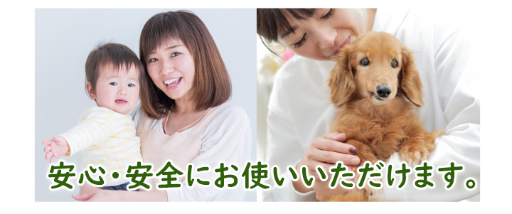 ǻ٤Ĵ뤳ȤǻӤ˹碌