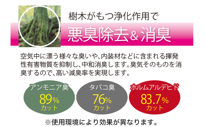 ǻ٤Ĵ뤳ȤǻӤ˹碌