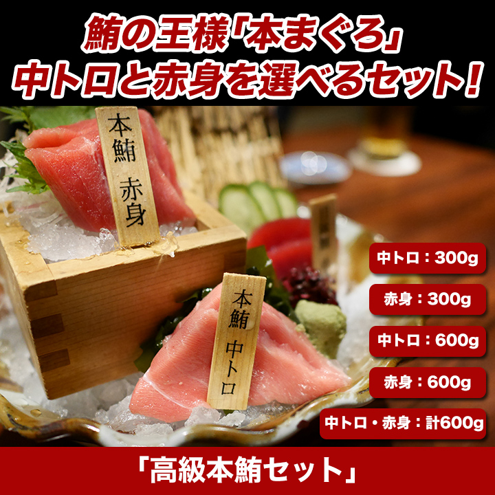 お買い得 高級本まぐろセット 中トロ 赤身が選べる焼津から直送 快適生活 ライフサポート お買い得 高級本まぐろセット 中トロ 赤身が選べる焼津から直送 快適生活 ライフサポート