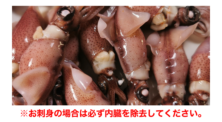 旬の味をお届け 小分けパック 富山湾産ホタルイカ 液体凍結製法で鮮度抜群 快適生活 ライフサポート 旬の味をお届け 小分けパック 富山湾産ホタルイカ 液体凍結製法で鮮度抜群 快適生活 ライフサポート