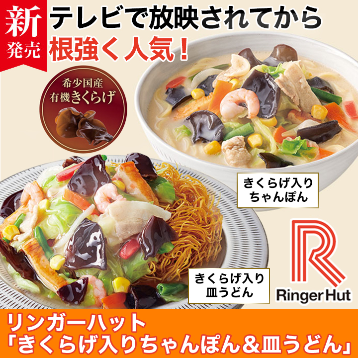 2281円 新色 8食具材付リンガーハット 長崎皿うどん 8食 4食×2セット 冷凍
