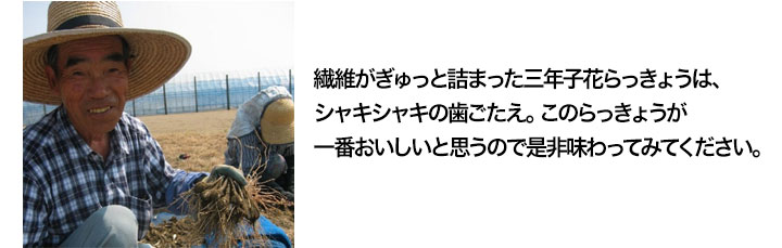Tvで話題沸騰 三年子花らっきょう 特味神花 福井県特産品 希少価値の高い品です 快適生活 快適生活